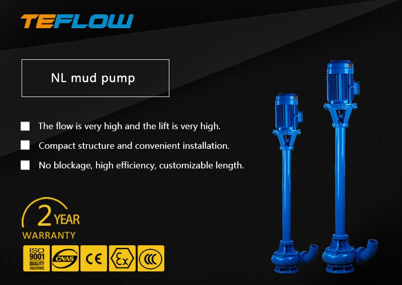 sewage slurry pump