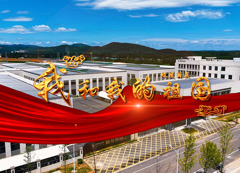 Tenglong Pump Industry presents a gift to the motherland on its 76th birthday
