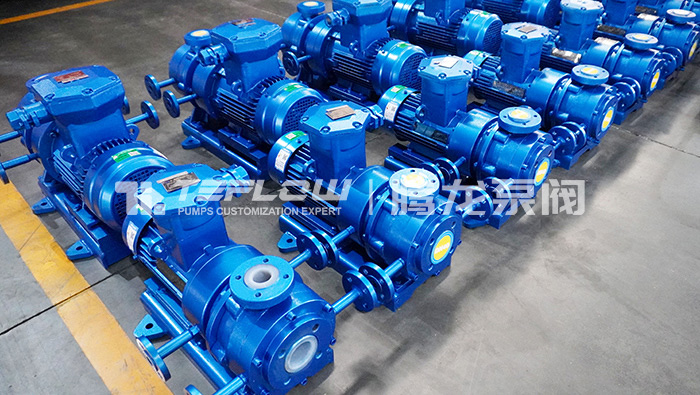 Customer Places One-Time Order for 30 Double-Insulation Magnetic Drive Pumps