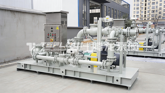 Customized Chemical Pump Skid-Mounted System Successfully Delivered to Customer