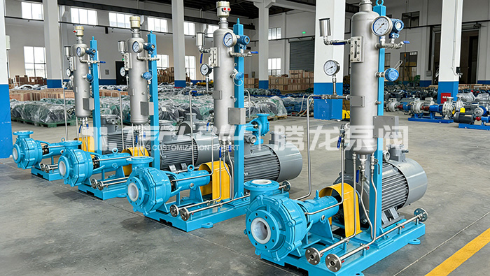 Customized Slurry Pumps Equipped with 53A Flush Plan