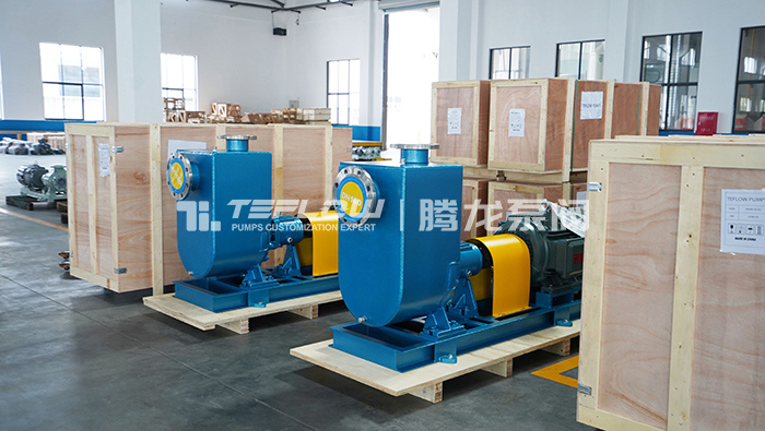 Large stainless steel self-priming centrifugal pumps were successfully delivered to boost Vietnam's industrial development