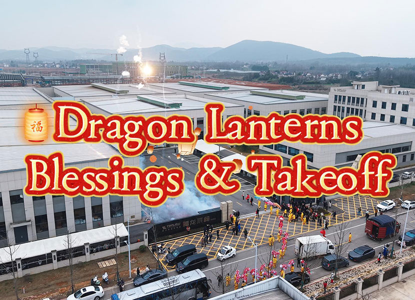 Dragon Dance Gala at Lantern Festival in the Year of the Horse