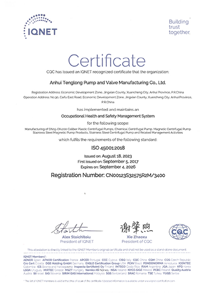 Certificate of honor08
