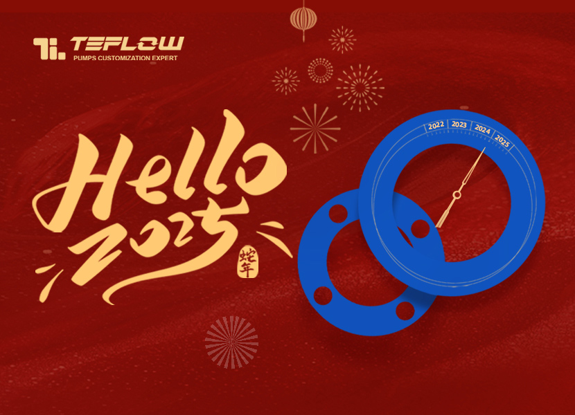 Tenglong Pump and Valve Company held its annual meeting in the year of the snake!