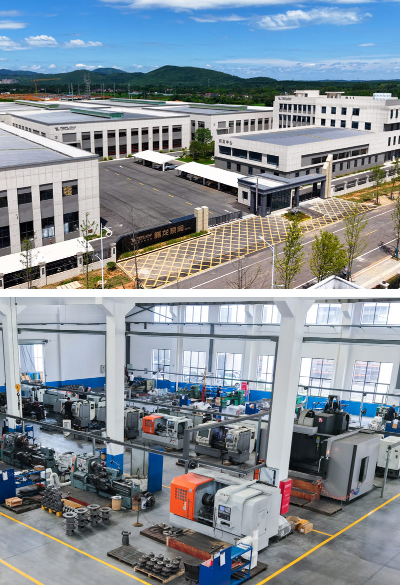 Specialists in Custom Magnetic Drive Pumps - Tenglong Pump & Valve